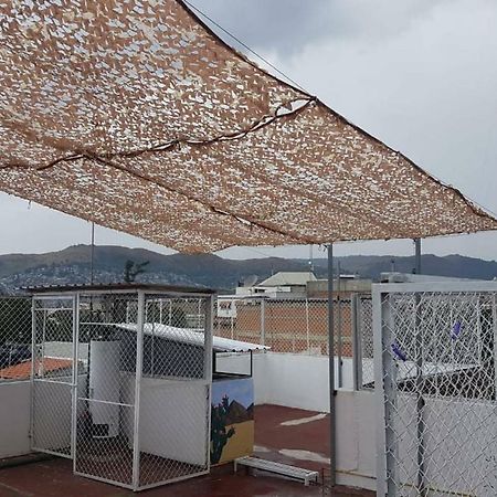 Apartament Oaxaca At Your Doorstep Zewnętrze zdjęcie